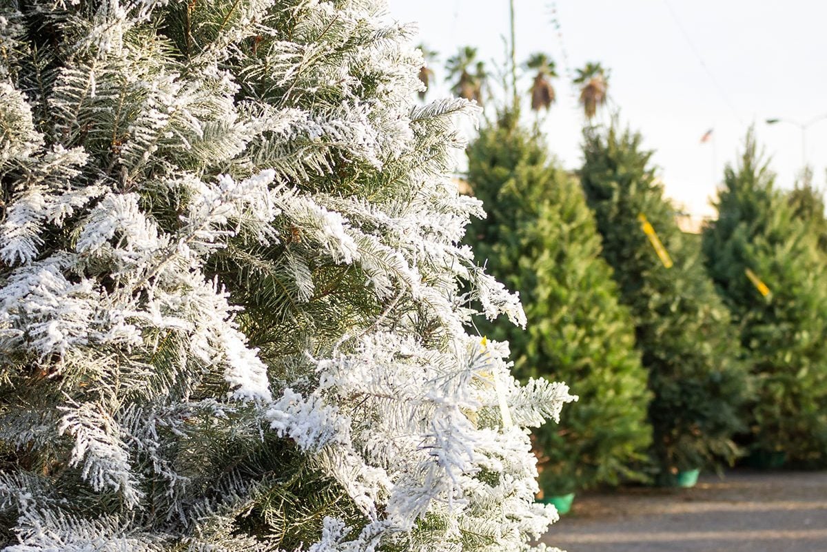 Flocked Christmas Tree hack using spray snow