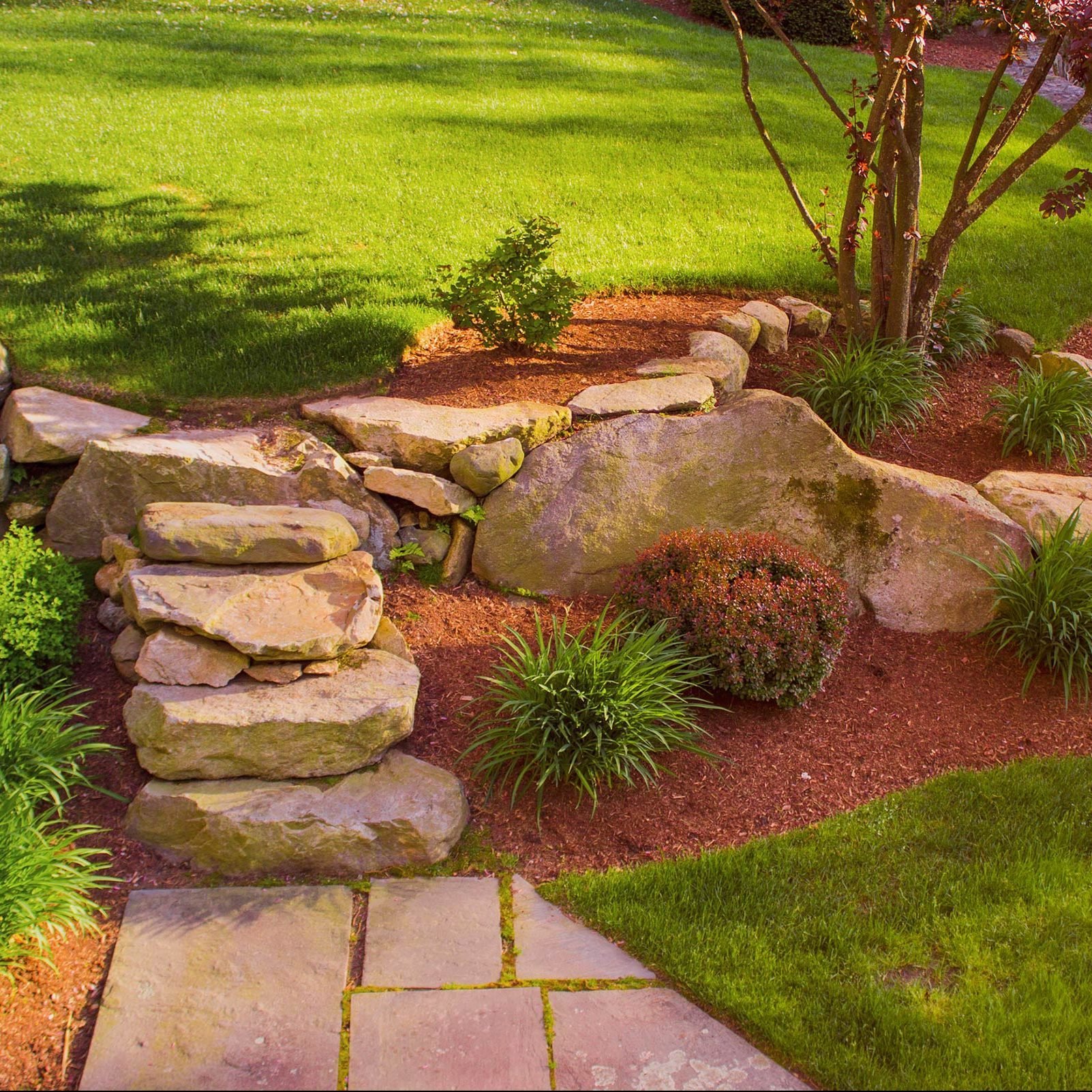 18 Things Your Landscaper Won’t Tell You | The Family Handyman