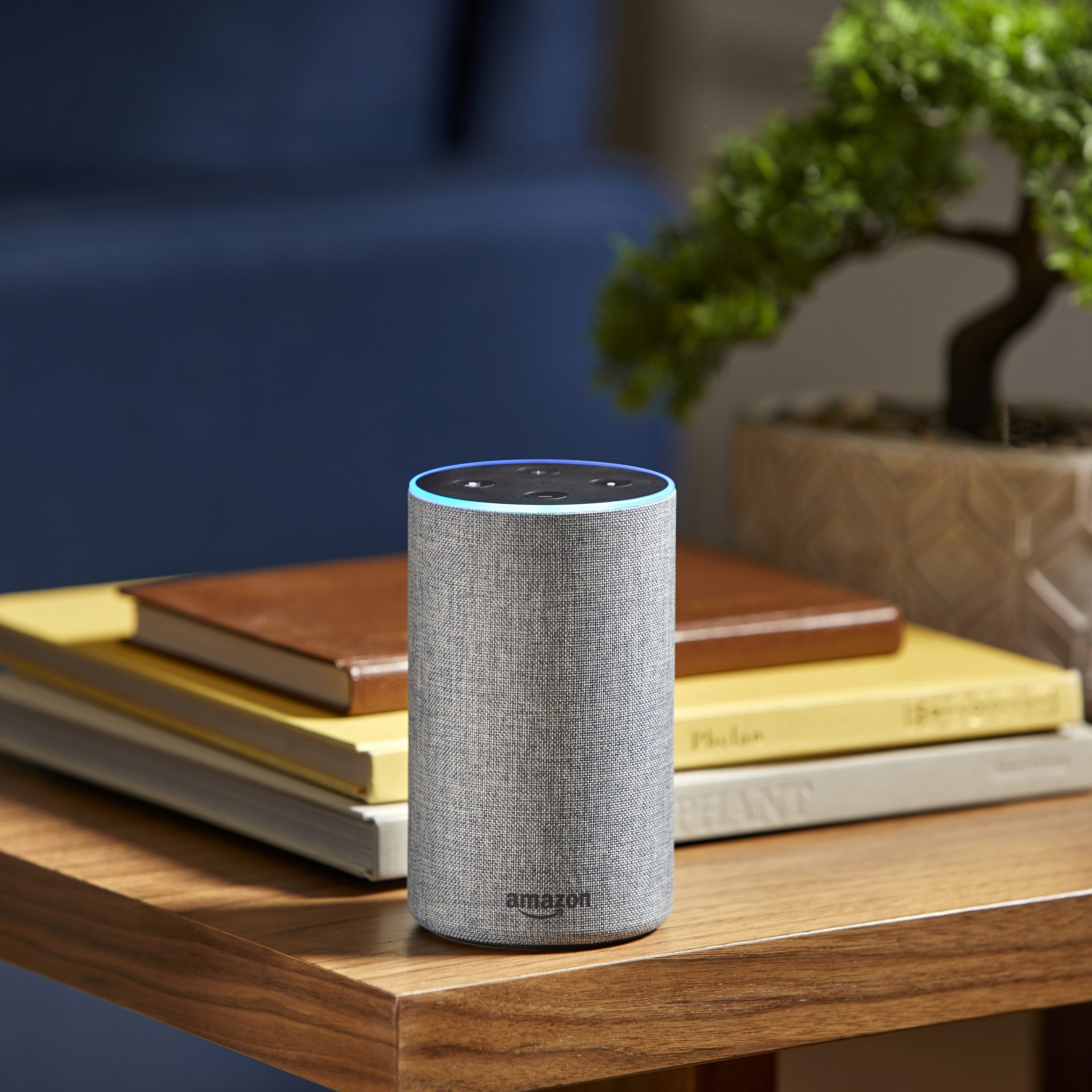 Do Amazon Echo's Security Features Really Work?