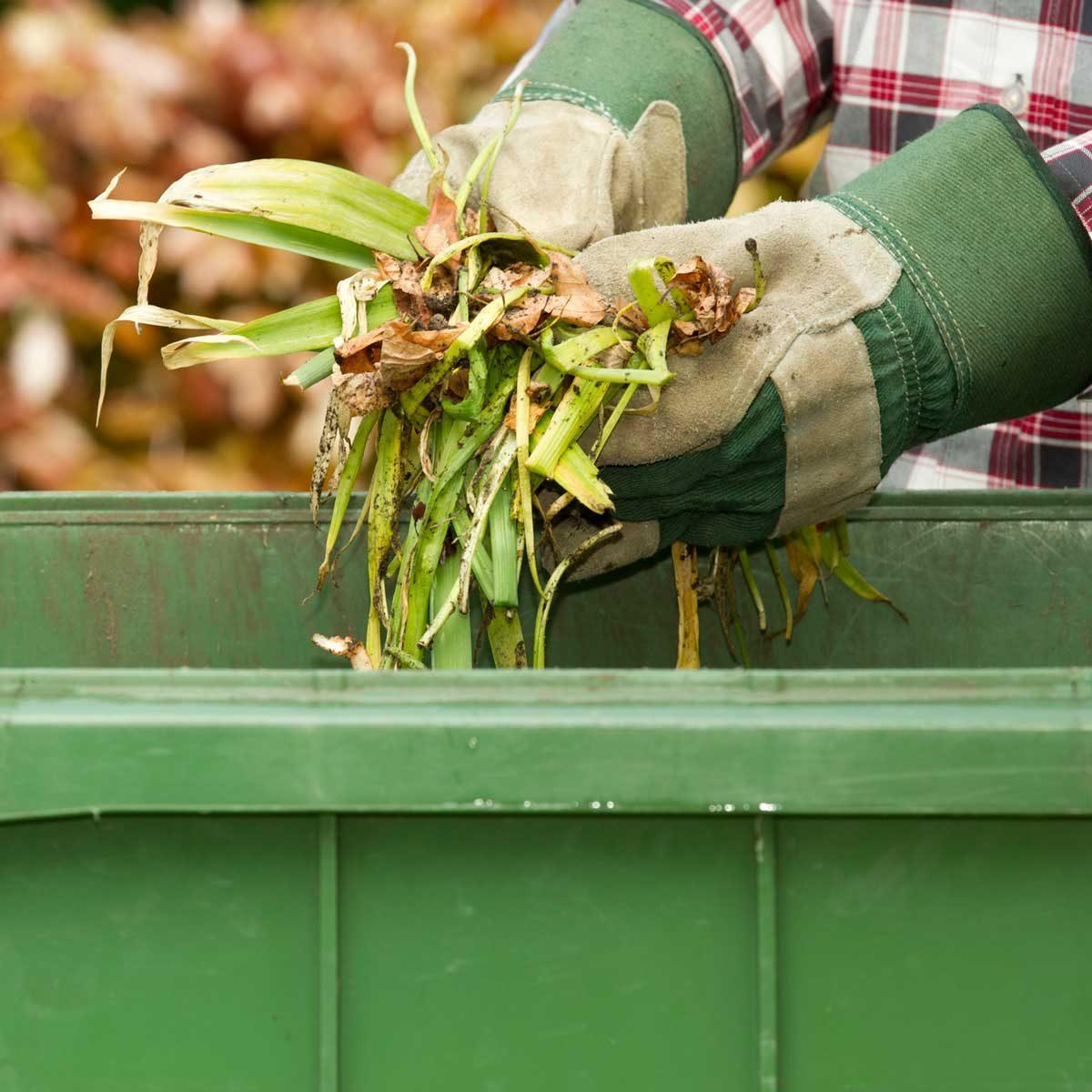 Here's What to Do With Yard Waste