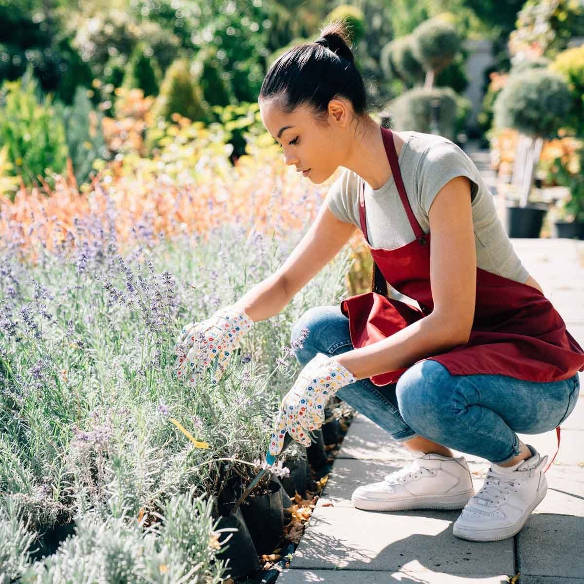 Low-Maintenance Landscaping Ideas for Your Yard and Garden
