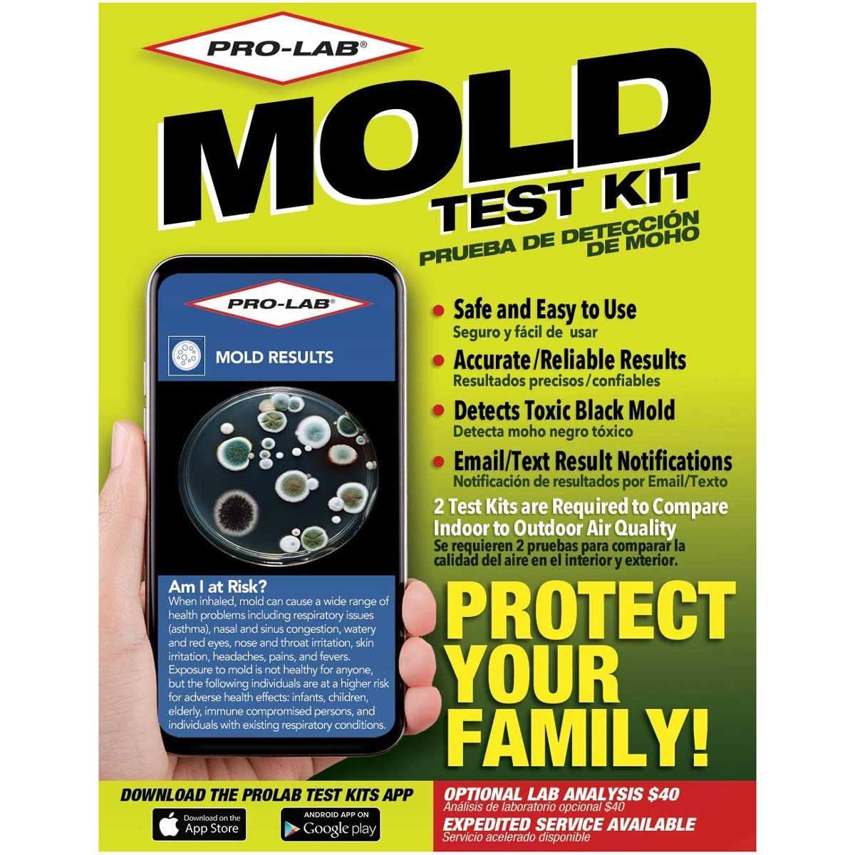 6 Best Mold Test Kits of 2020 The Family Handyman