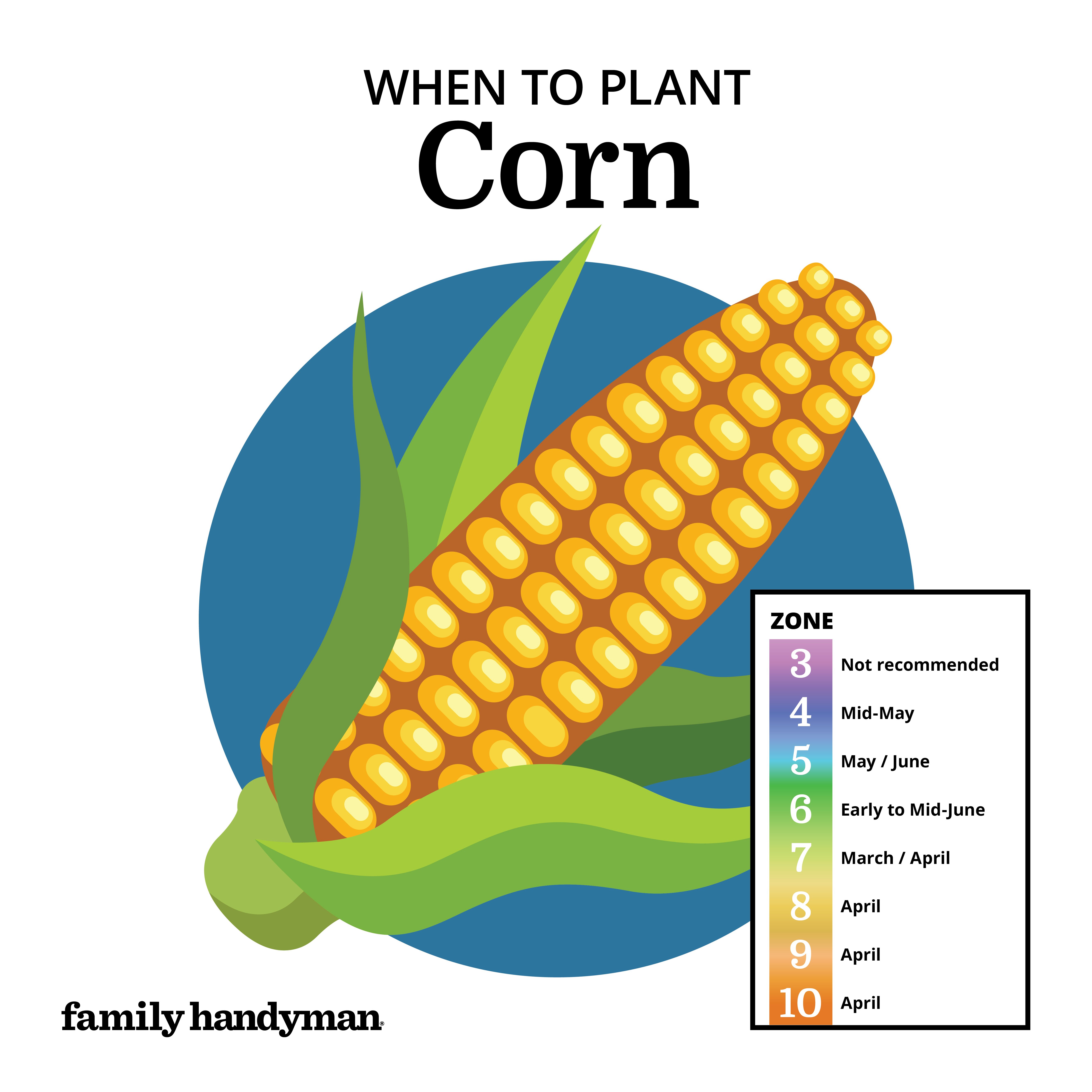 Planting Calendar When to Plant These Popular Vegetables The Family