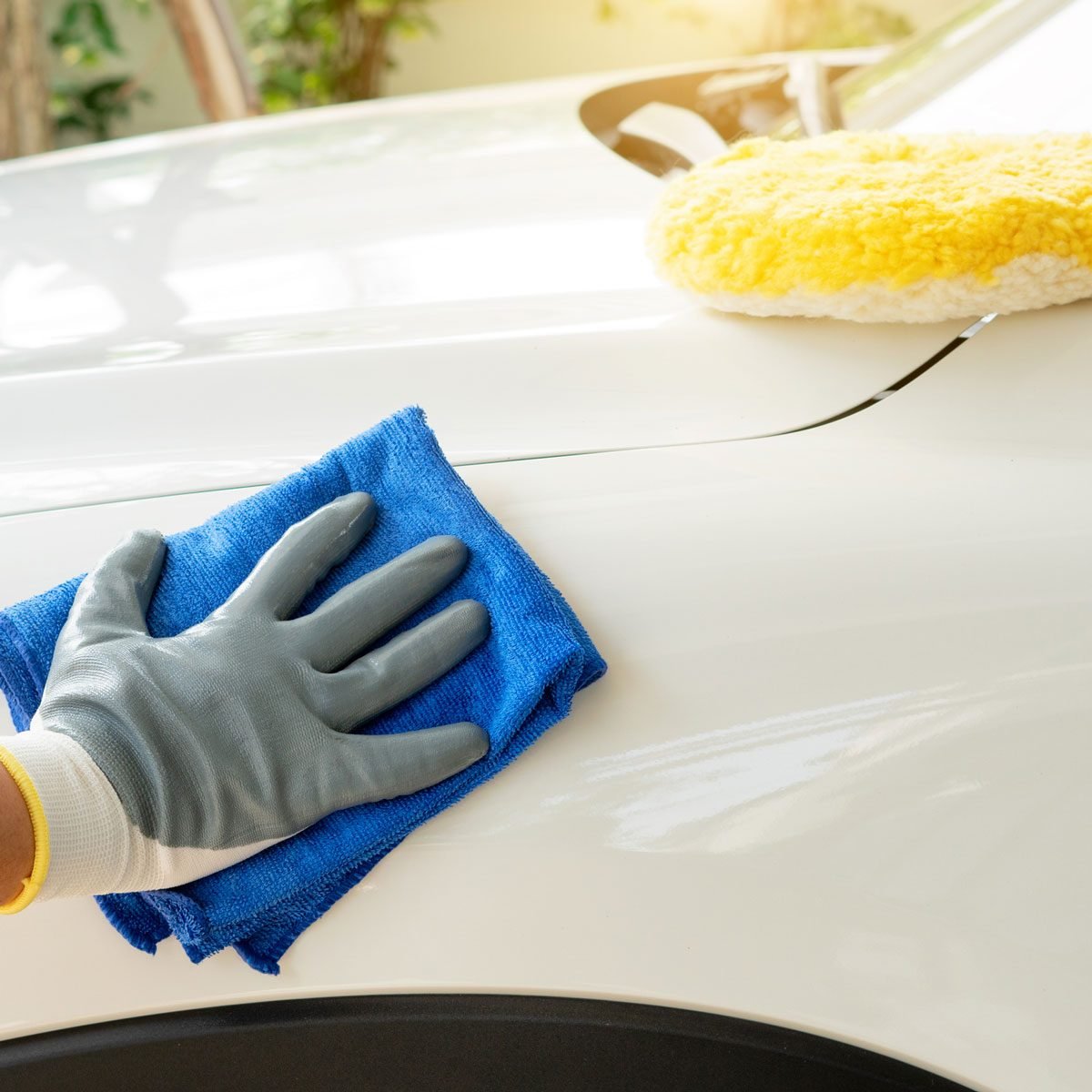 The Best Car Wax Products