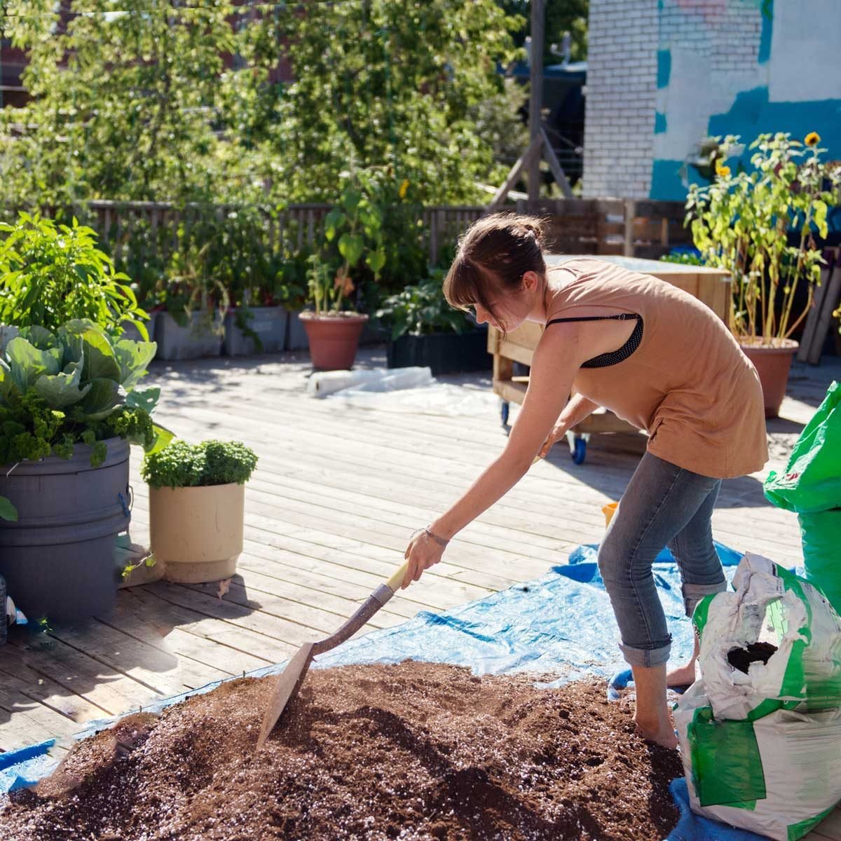 How to Amend Soil for a Nutrient-Rich Garden