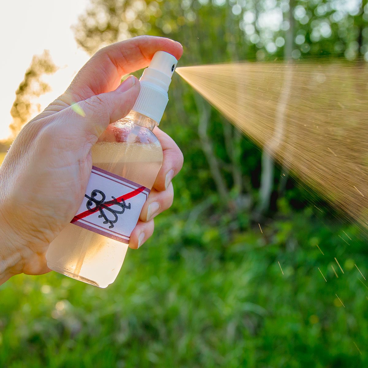 How to Make Natural Mosquito Repellent