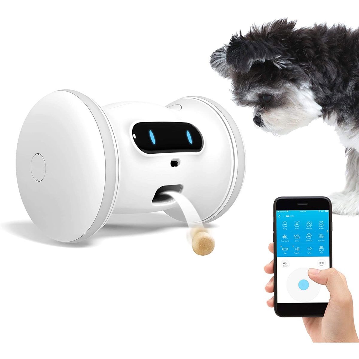 10 Cool Dog Gadgets for High-Tech Pooches | The Family Handyman