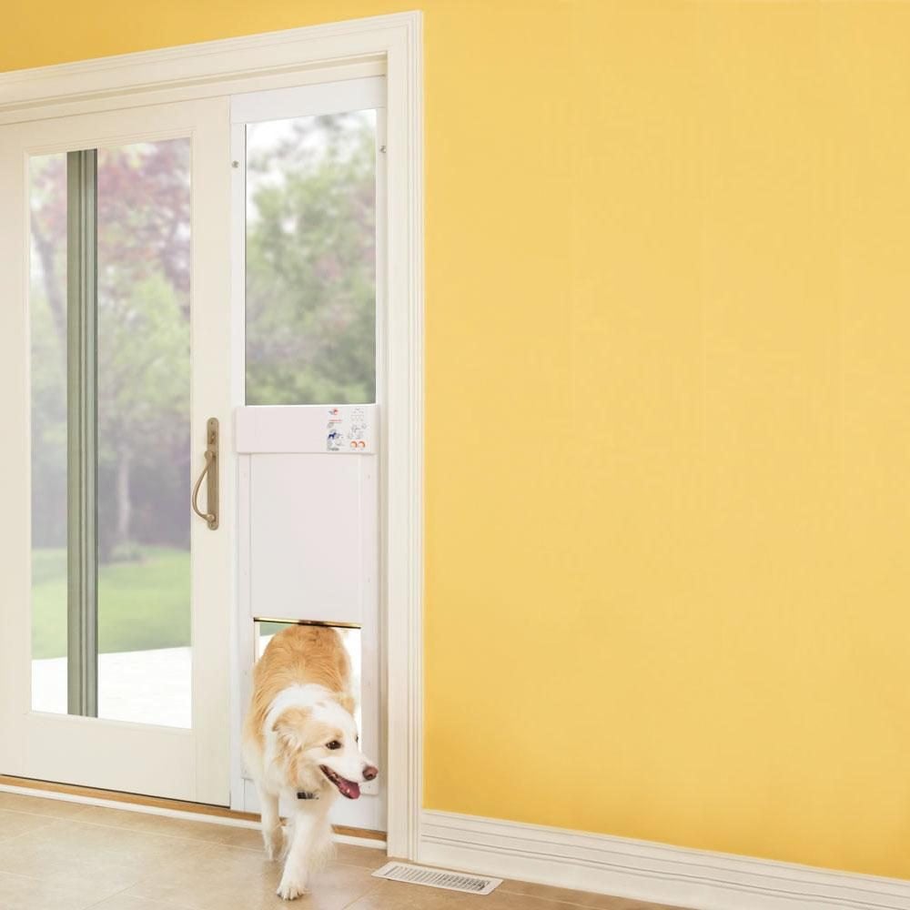 Amazon.com : PetSafe Wall Entry Pet Door – Best for Small, Medium and Large  Size Pets – DIY Installation – Includes Telescoping Tunnel for Interior and  Exterior Wall Installation – Size Large : Pet Supplies