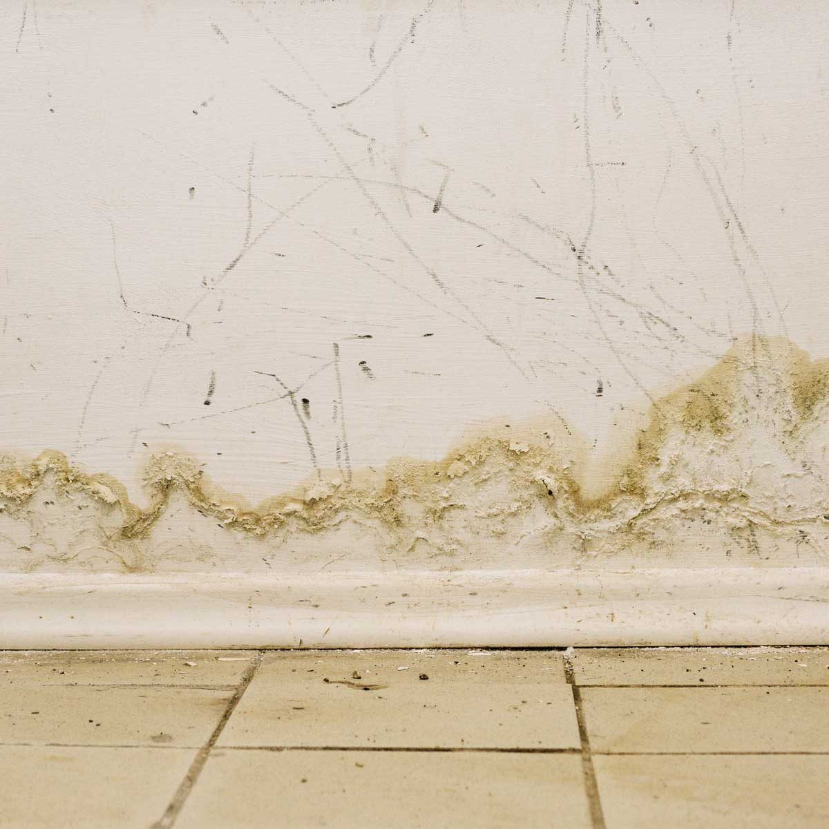 The Experts' Guide to Preventing Mold In Basements