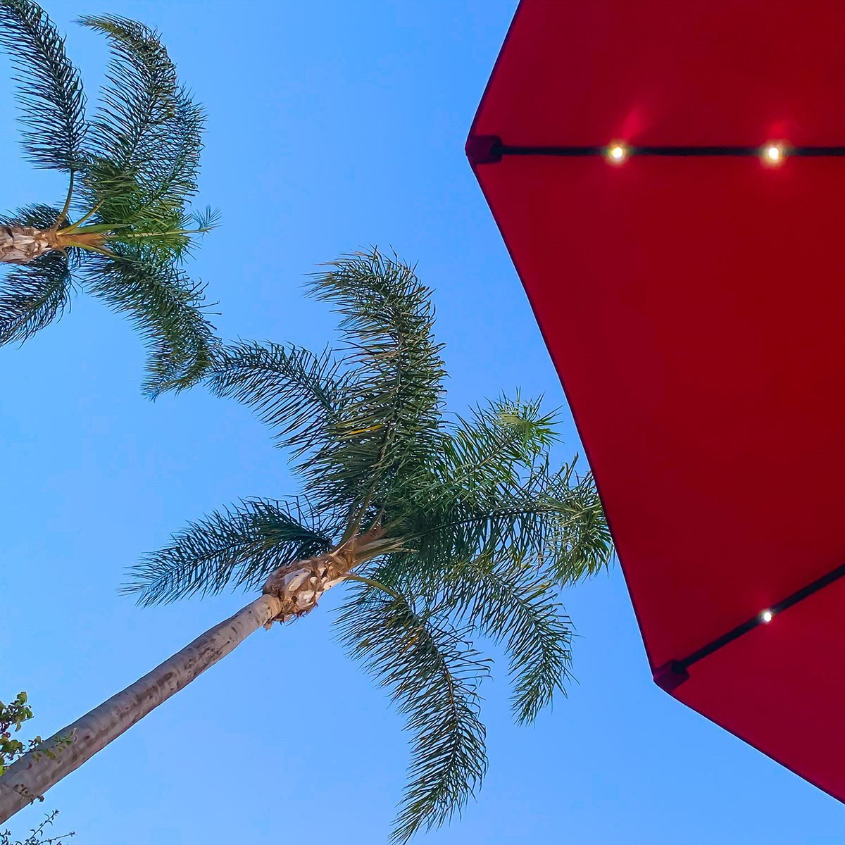 What to Know About Solar Umbrellas