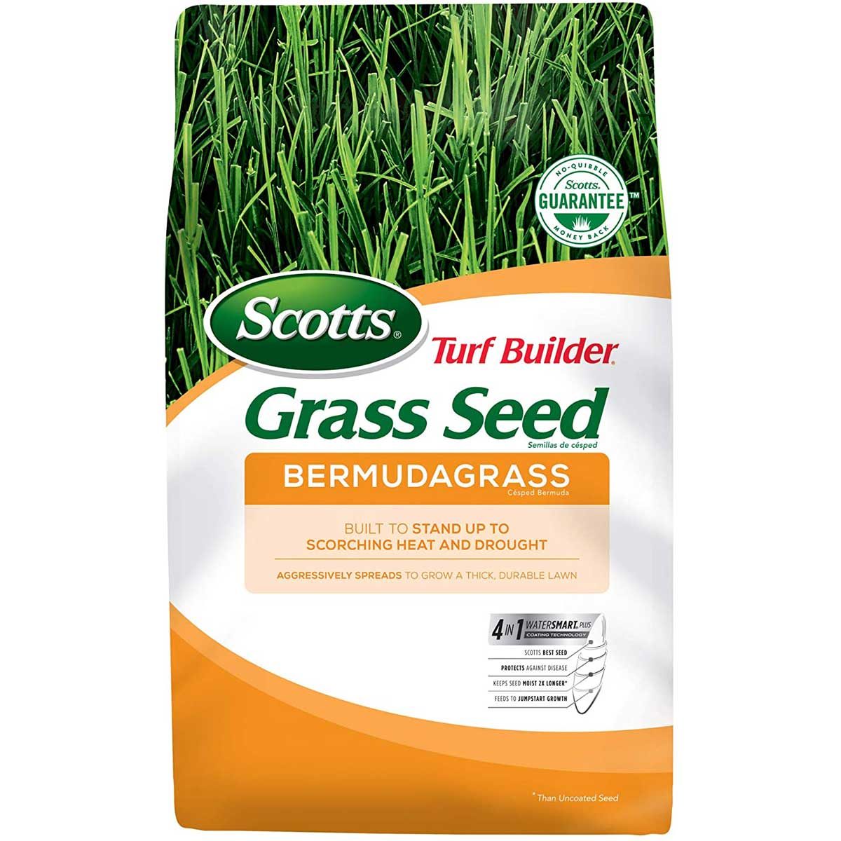 Best Grass Seed for Any Lawn The Family Handyman