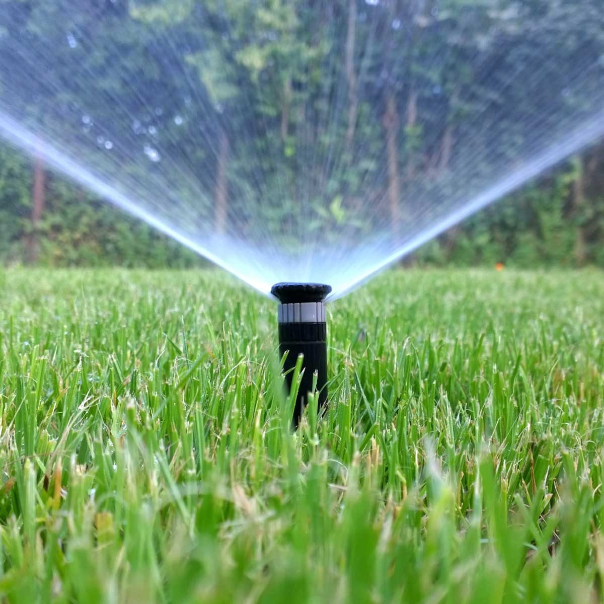 What to Know About Smart Sprinklers