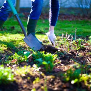 How To Build A Rain Garden In Your Yard Diy