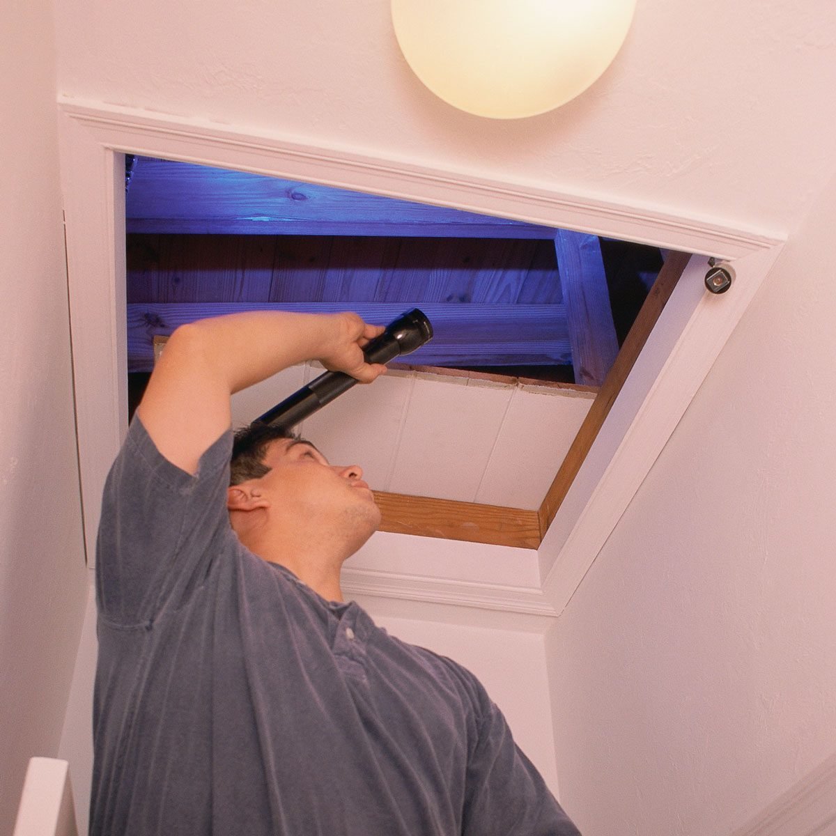 Why You Need a Home Attic Inspection