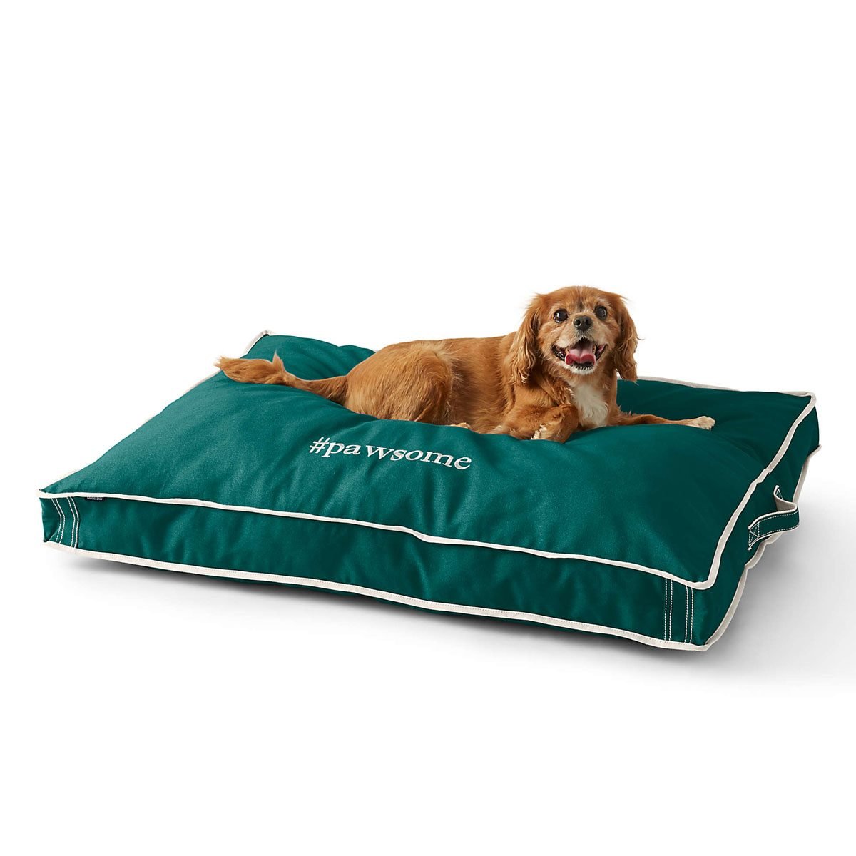 10 Best Dog Bed Covers and Accessories | The Family Handyman
