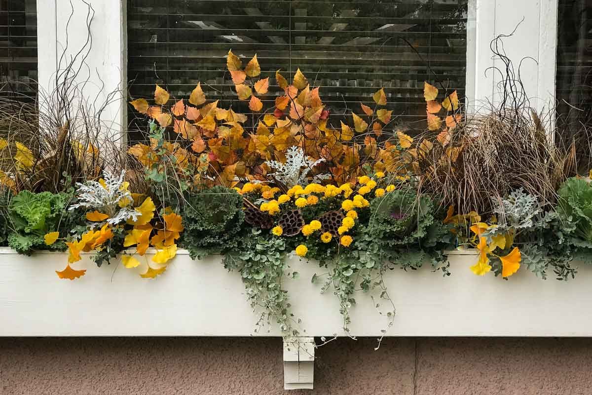 How to Transition Flower Pots From Summer to Fall