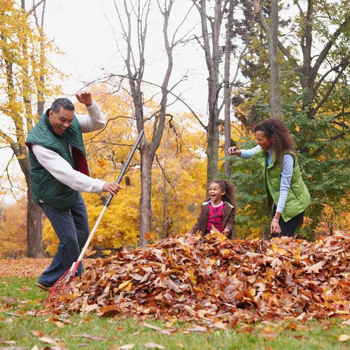 10 Best Leaf Rakes for 2020 The Family Handyman