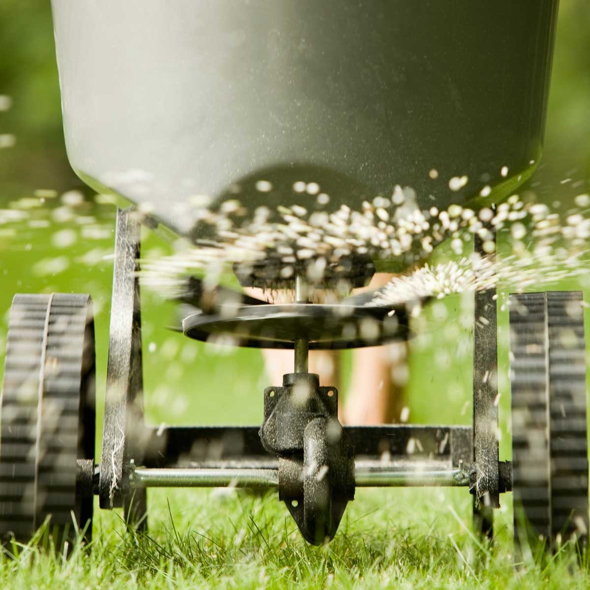 Should You Use Winter Fertilizer?