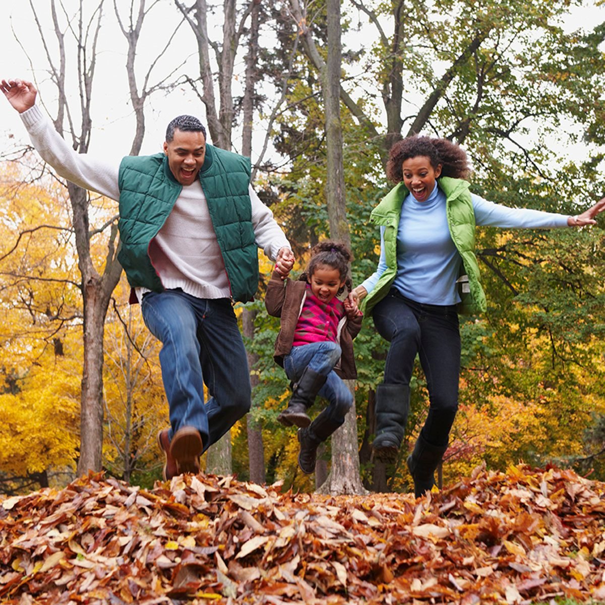 11 Things You Can Do With a Pile of Leaves