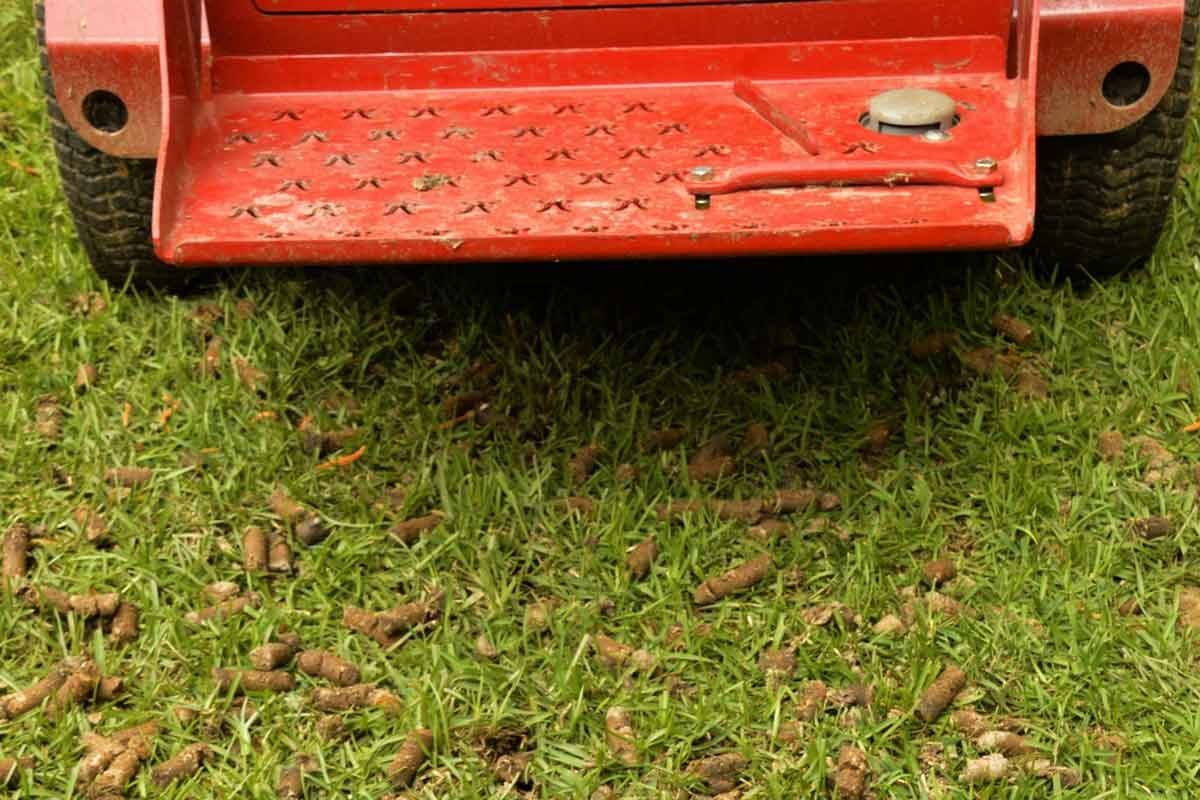 When, Why and How to Aerate the Lawn