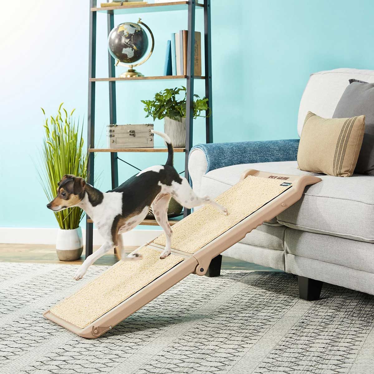 9 Best Pet Ramps for Your Cat or Dog The Family Handyman