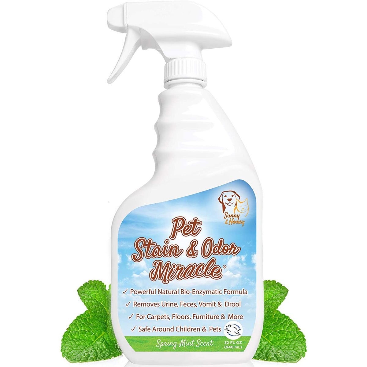 7 Best Products for Removing Pet Stains on Furniture