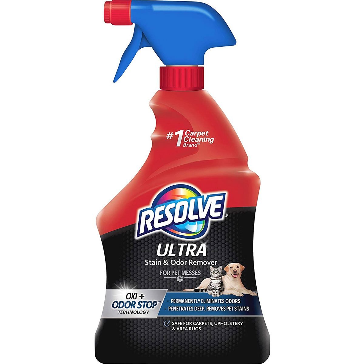Best carpet cleaner for pet stains