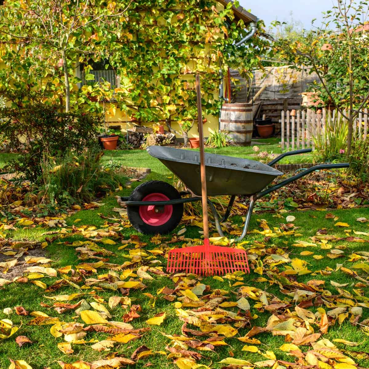 Tips for Preparing the Lawn for the Fall