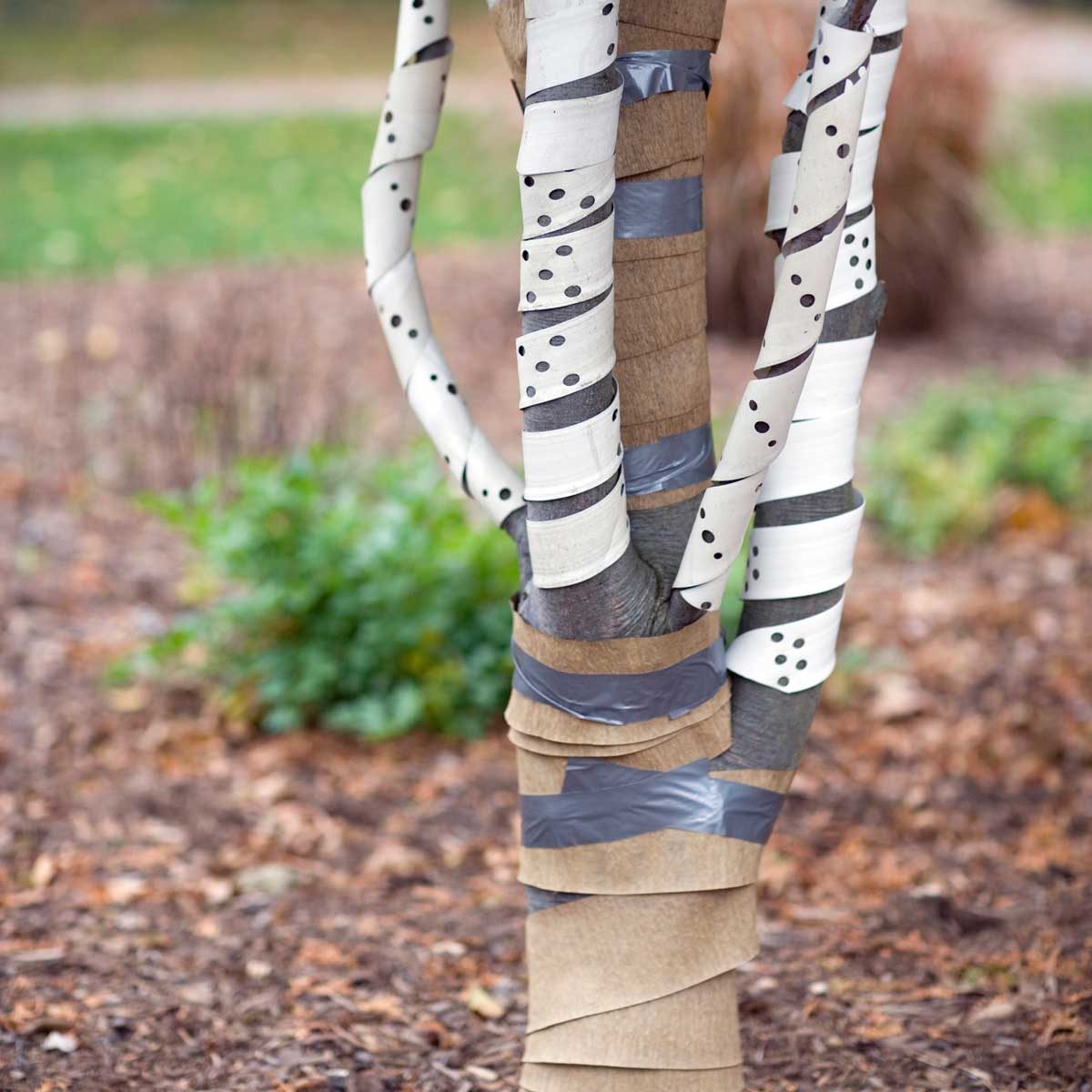 What Is Tree Wrap and How Do I Use It? The Family Handyman