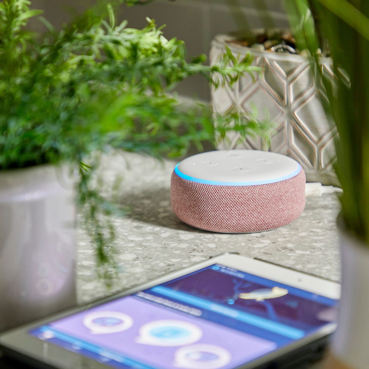How to Set Up the Amazon Echo Dot