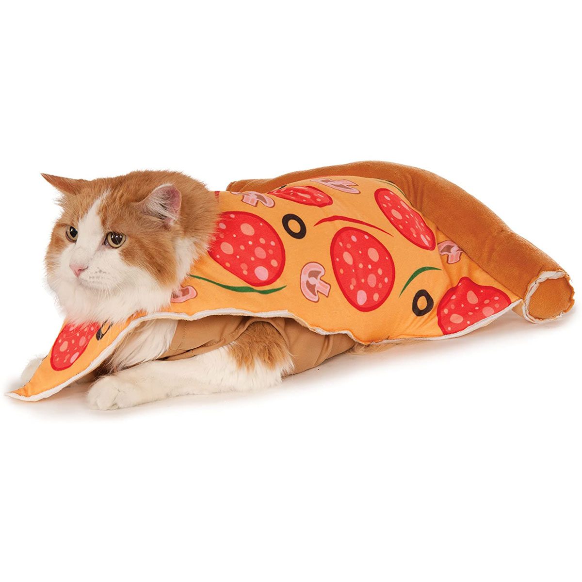 10 Best Halloween Costumes for Cats | The Family Handyman