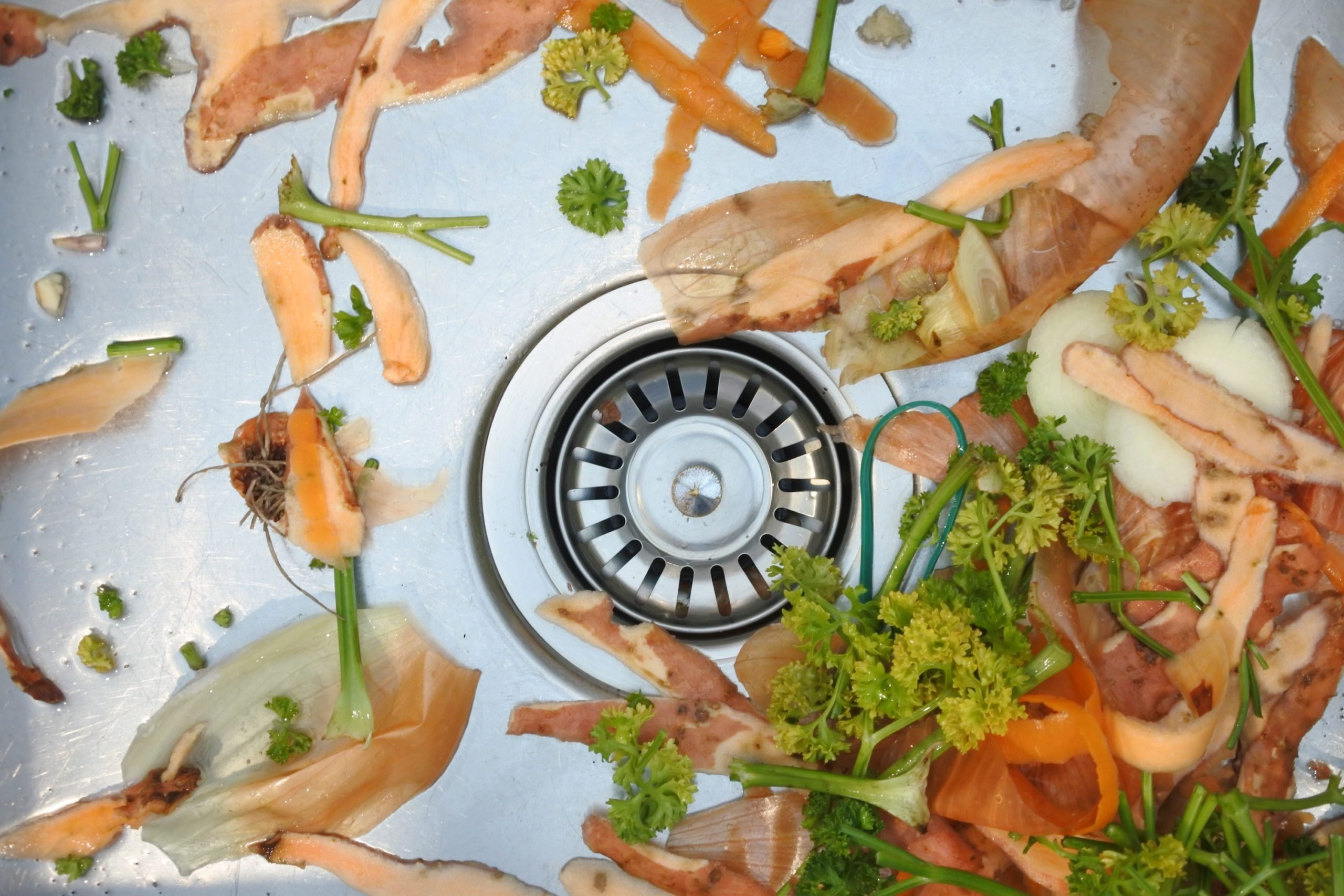 15 Things You Should Never Put Down Your Garbage Disposal