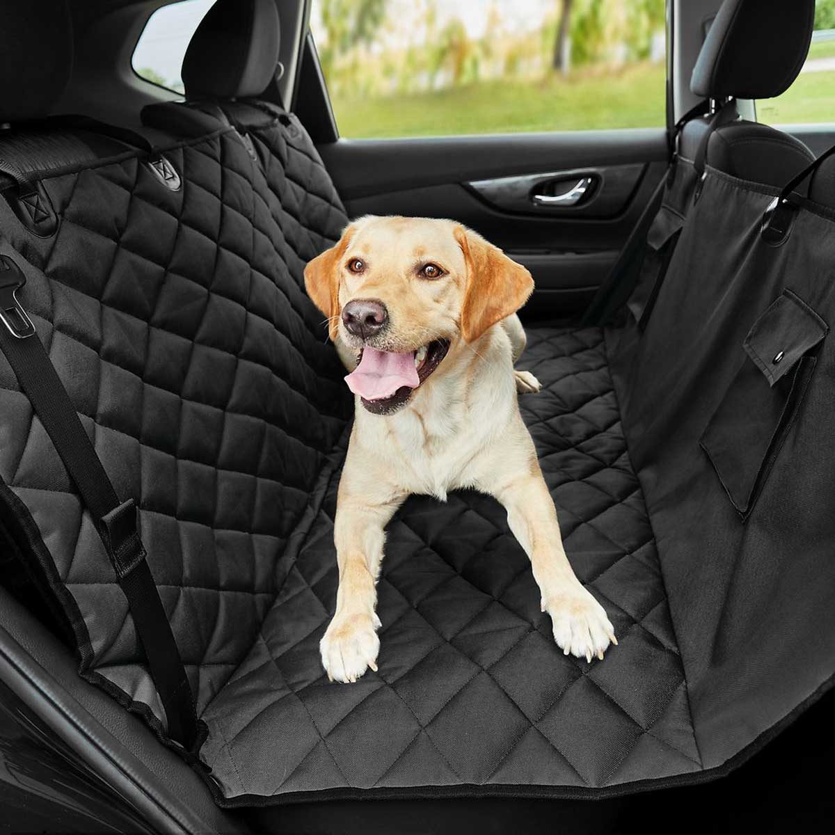 Seat divider for outlet dogs