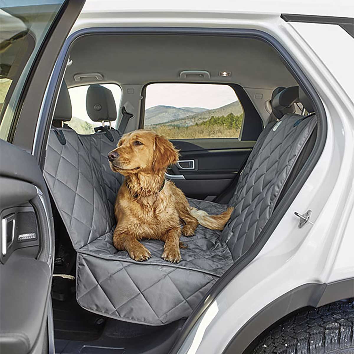 Best car deals pet barrier