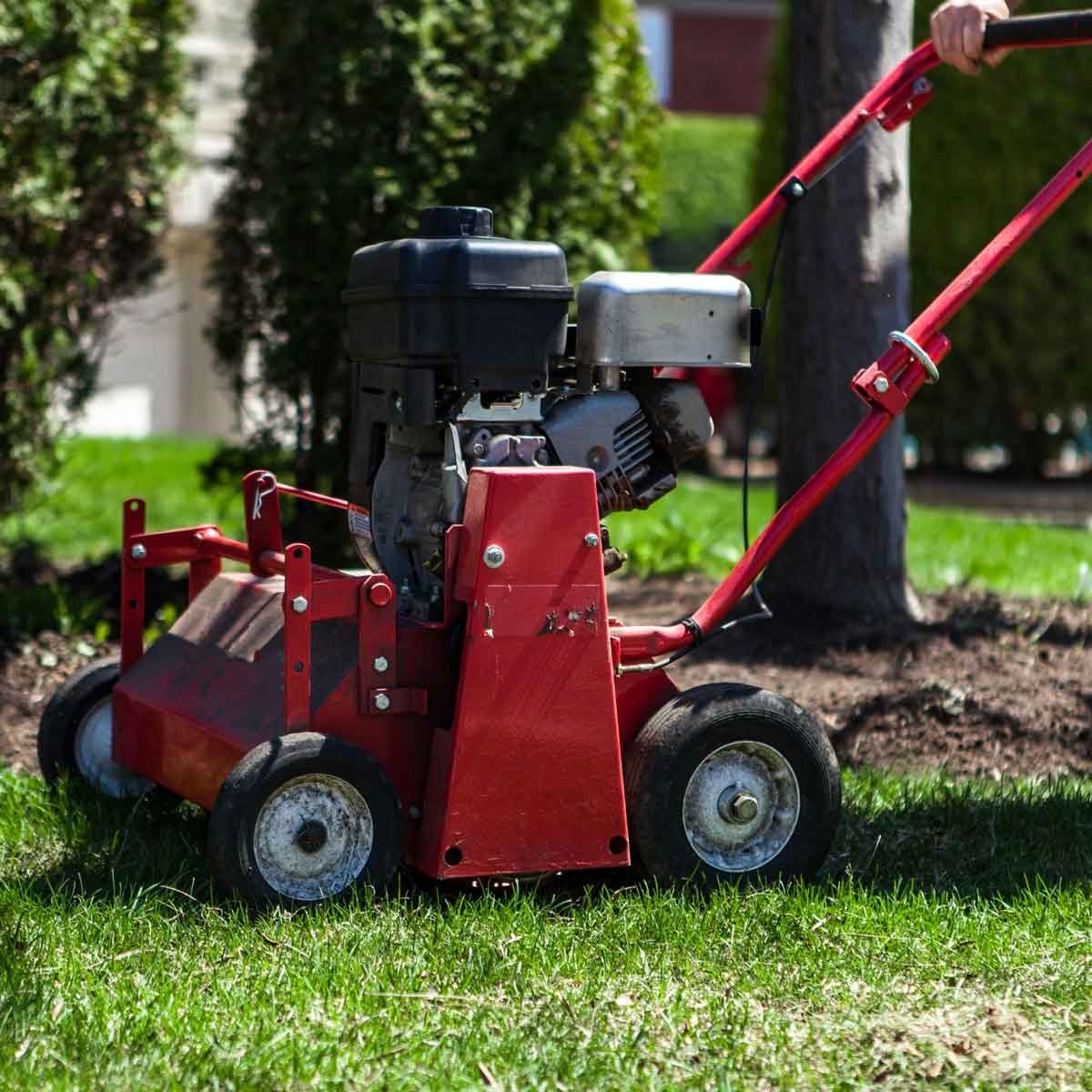 Lawn Aerator Buying Guide