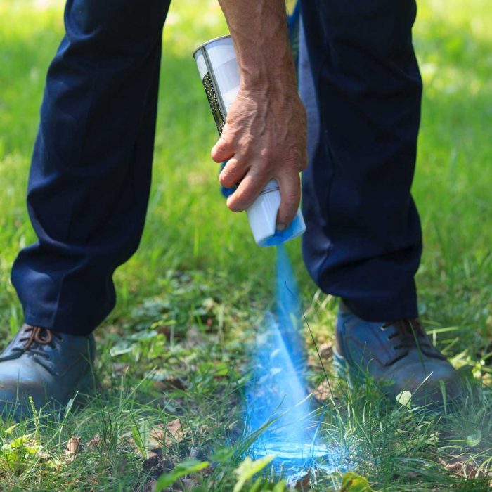 Spray Paint Grass