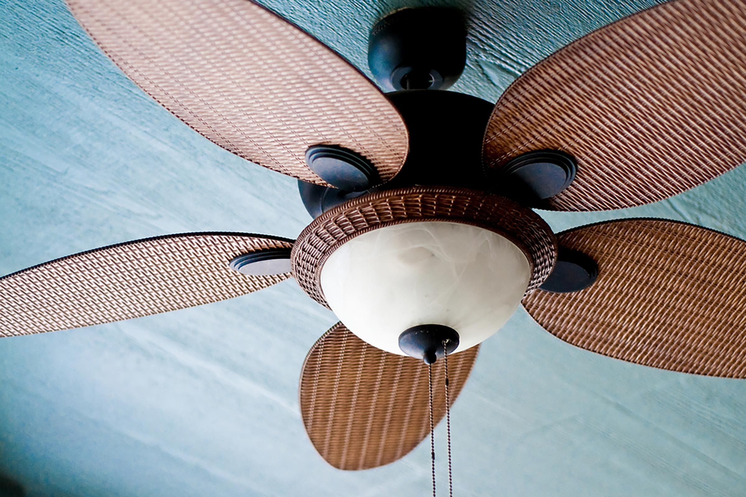 ceilingfan