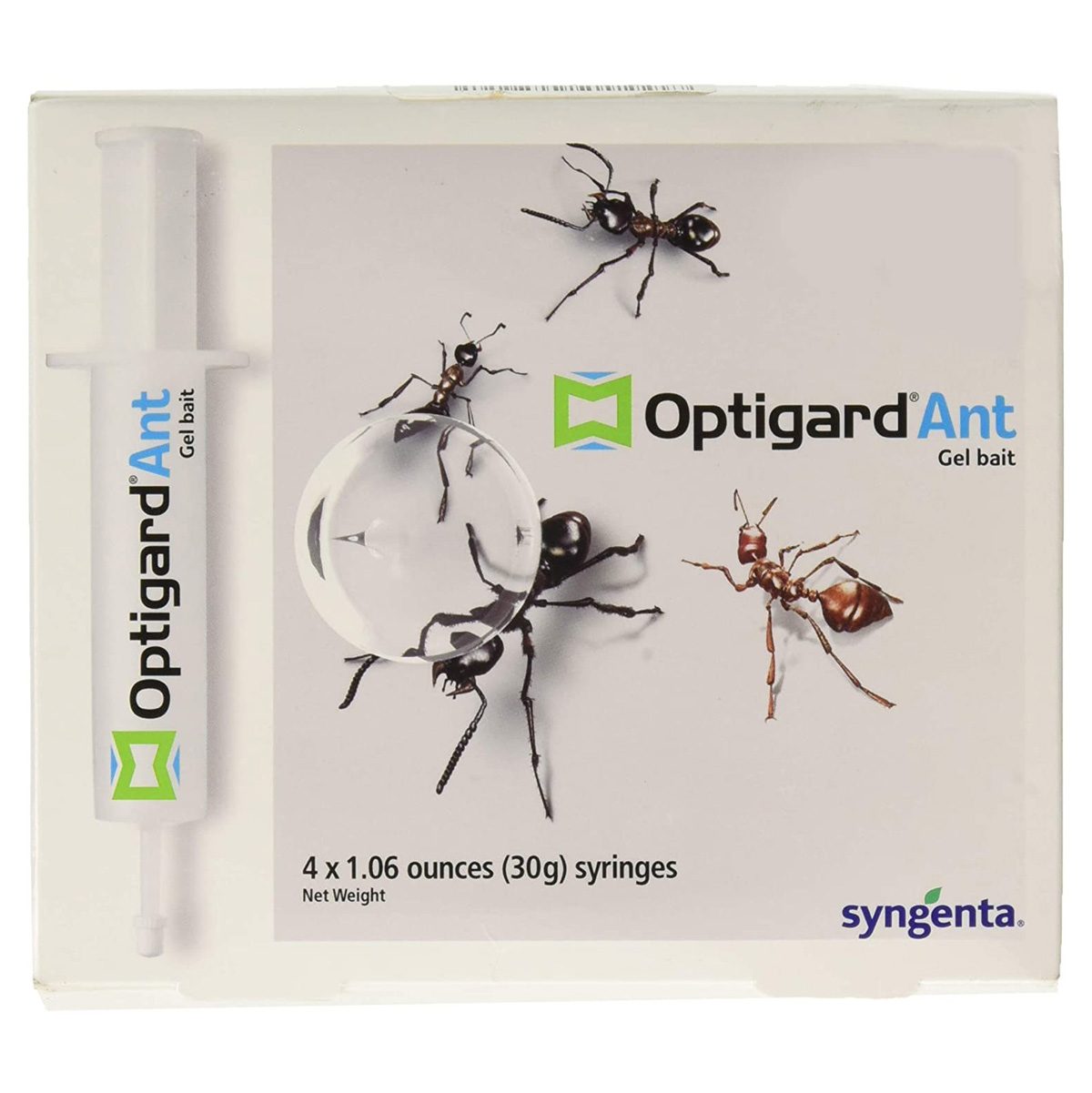 12 Best Ways to Kill Ants in Your Home and Yard