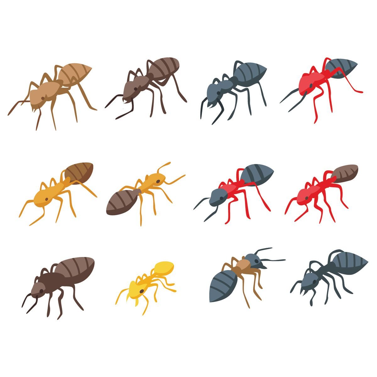 Health and Behavioral Development of Beneficial Black Garden Ants