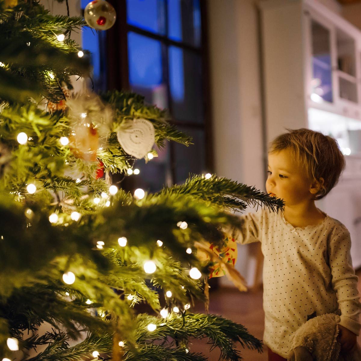 How To Keep a Christmas Tree Alive Through the Holidays