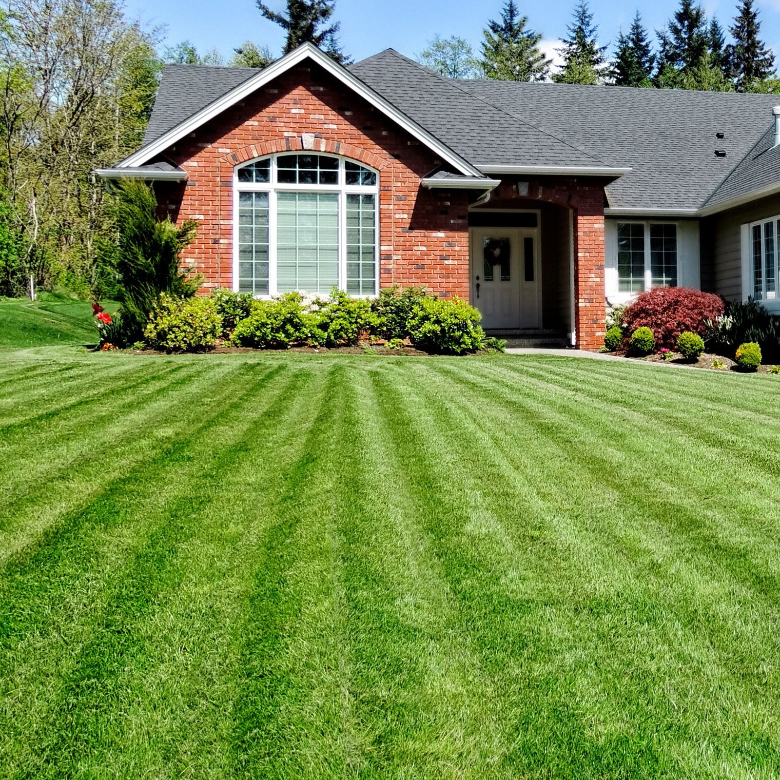 Lawn Care: How to Repair a Lawn