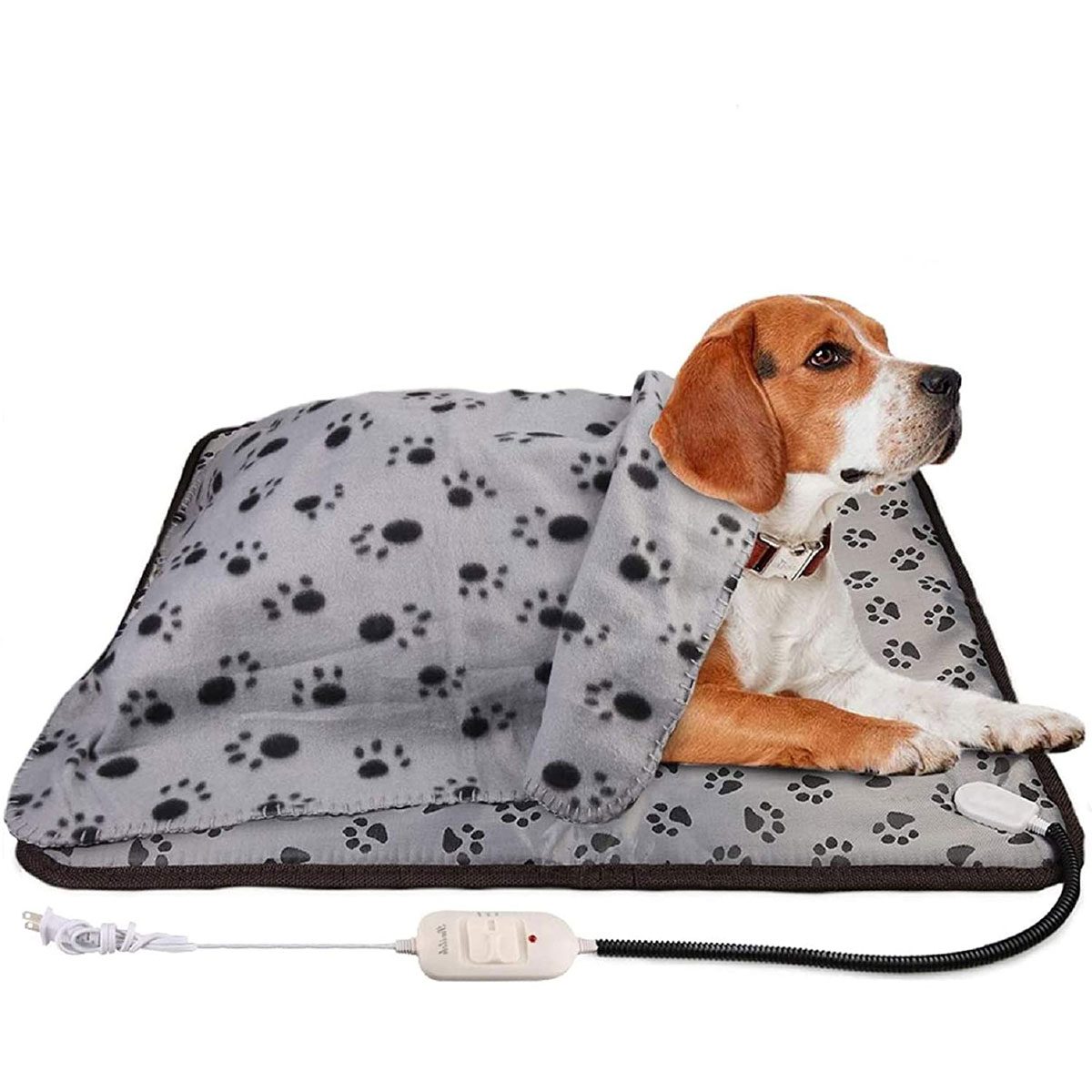 9 Best Heated Dog Beds for Winter The Family Handyman