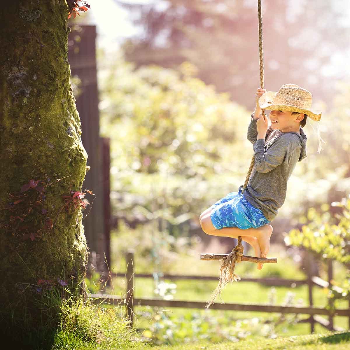 What to Know About Tree Swings