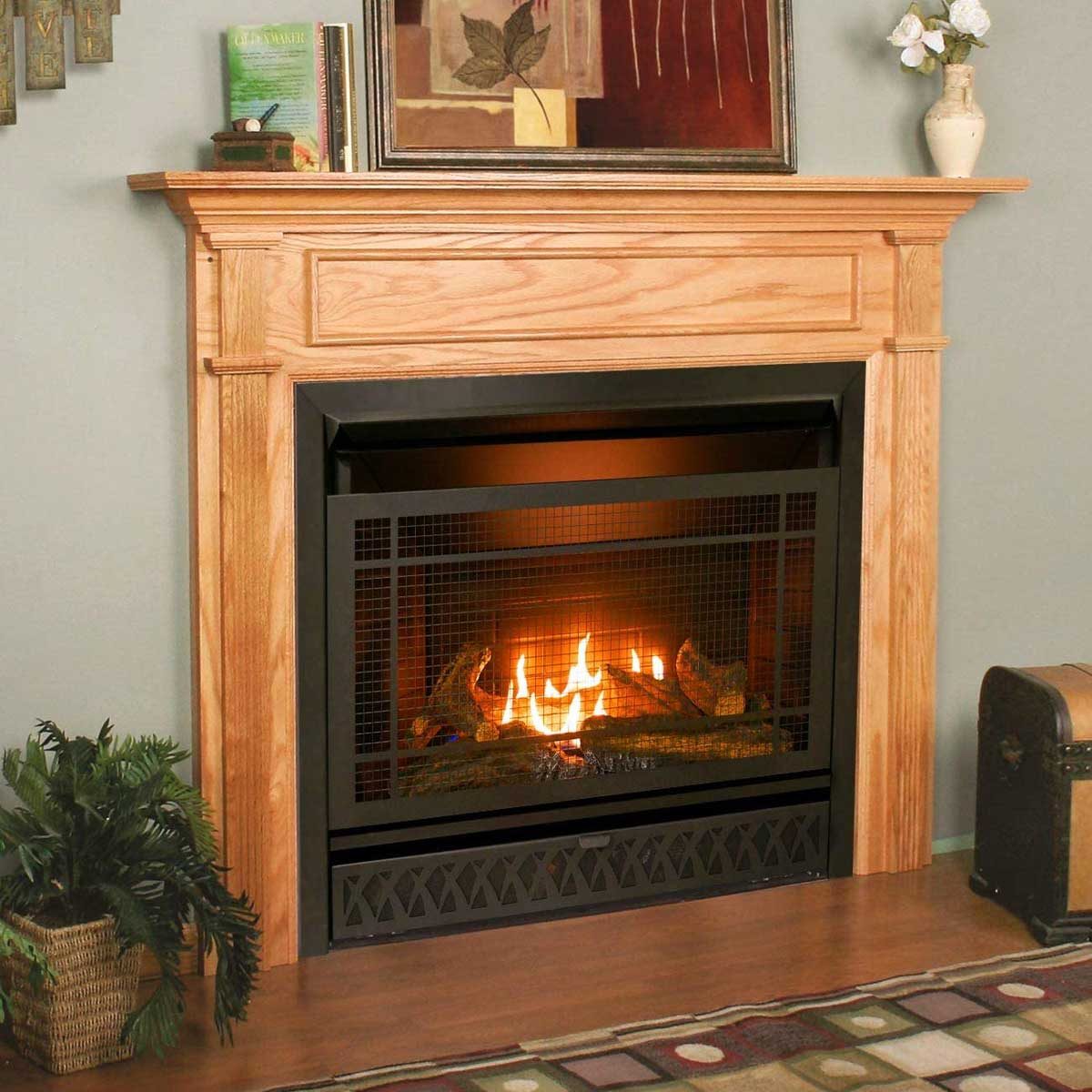 The Best Gas Fireplace Inserts of 2022 Family Handyman