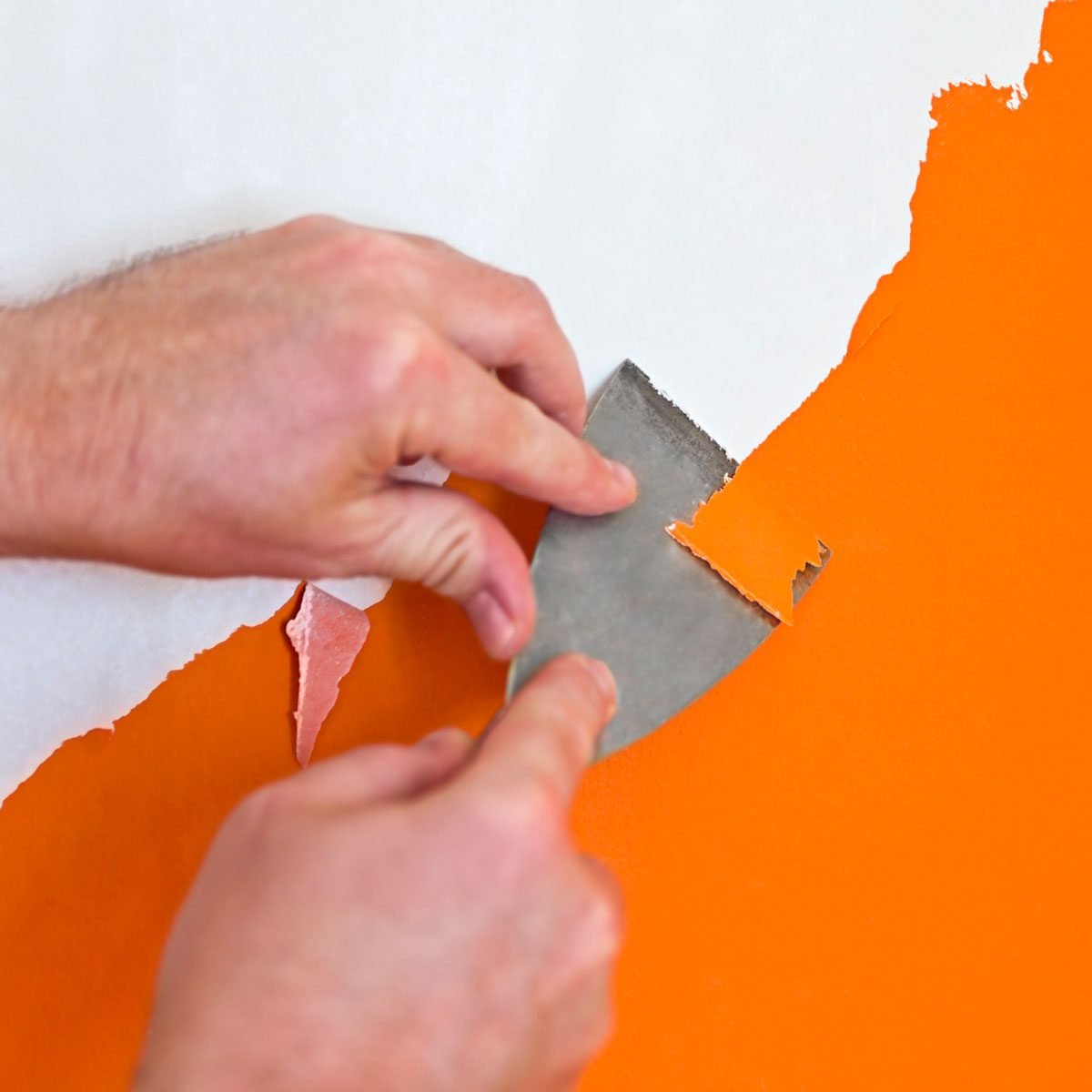 The 7 Best Paint Strippers and Removers of 2024