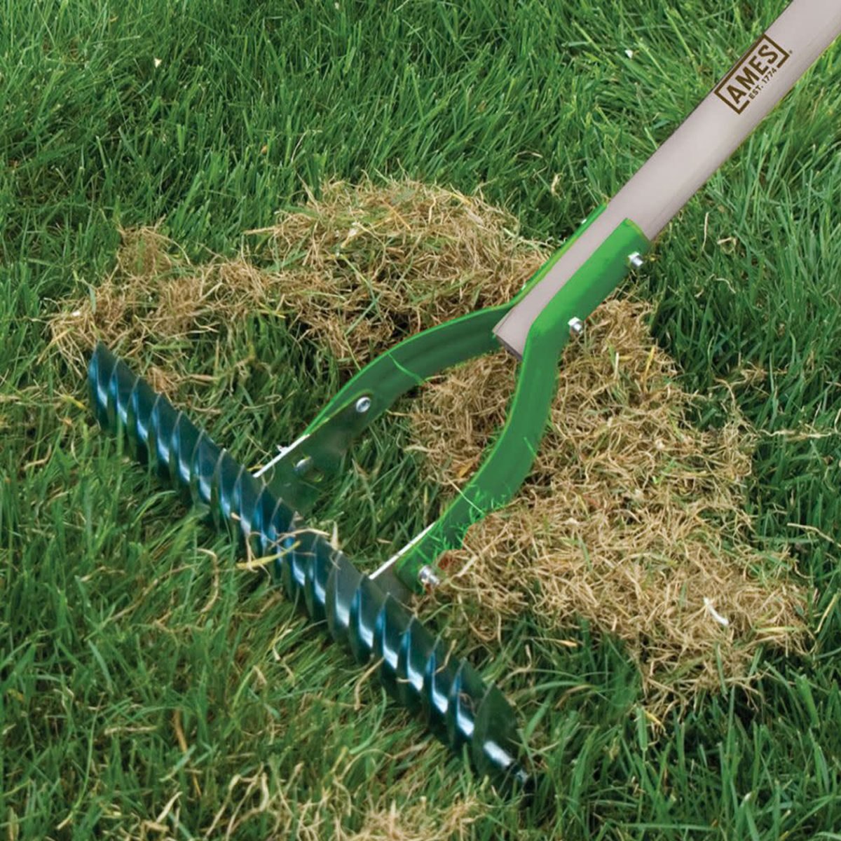 7 Best Lawn Dethatching Rakes to Clear Unwanted Debris