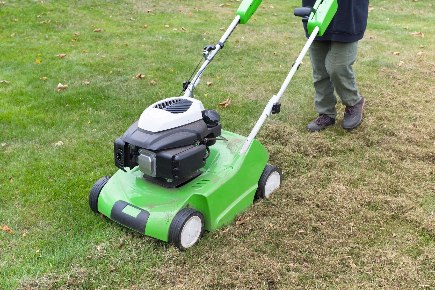 When, Why and How Often to Dethatch Your Lawn