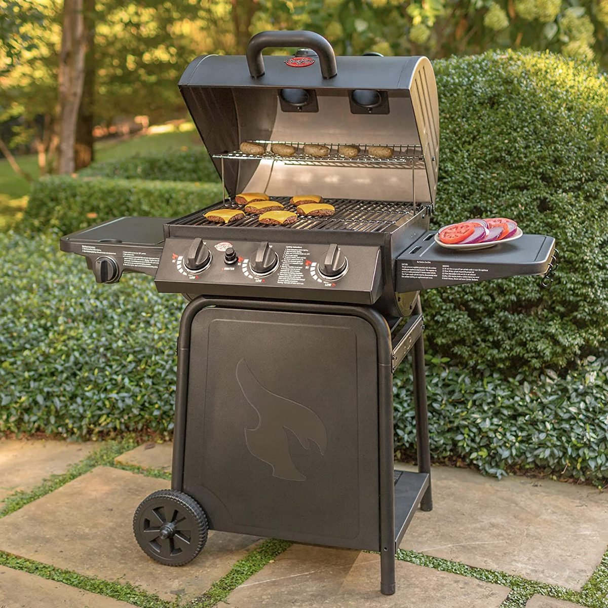 The 15 Best-Reviewed Amazon Gas Grills for Outdoor Cooking