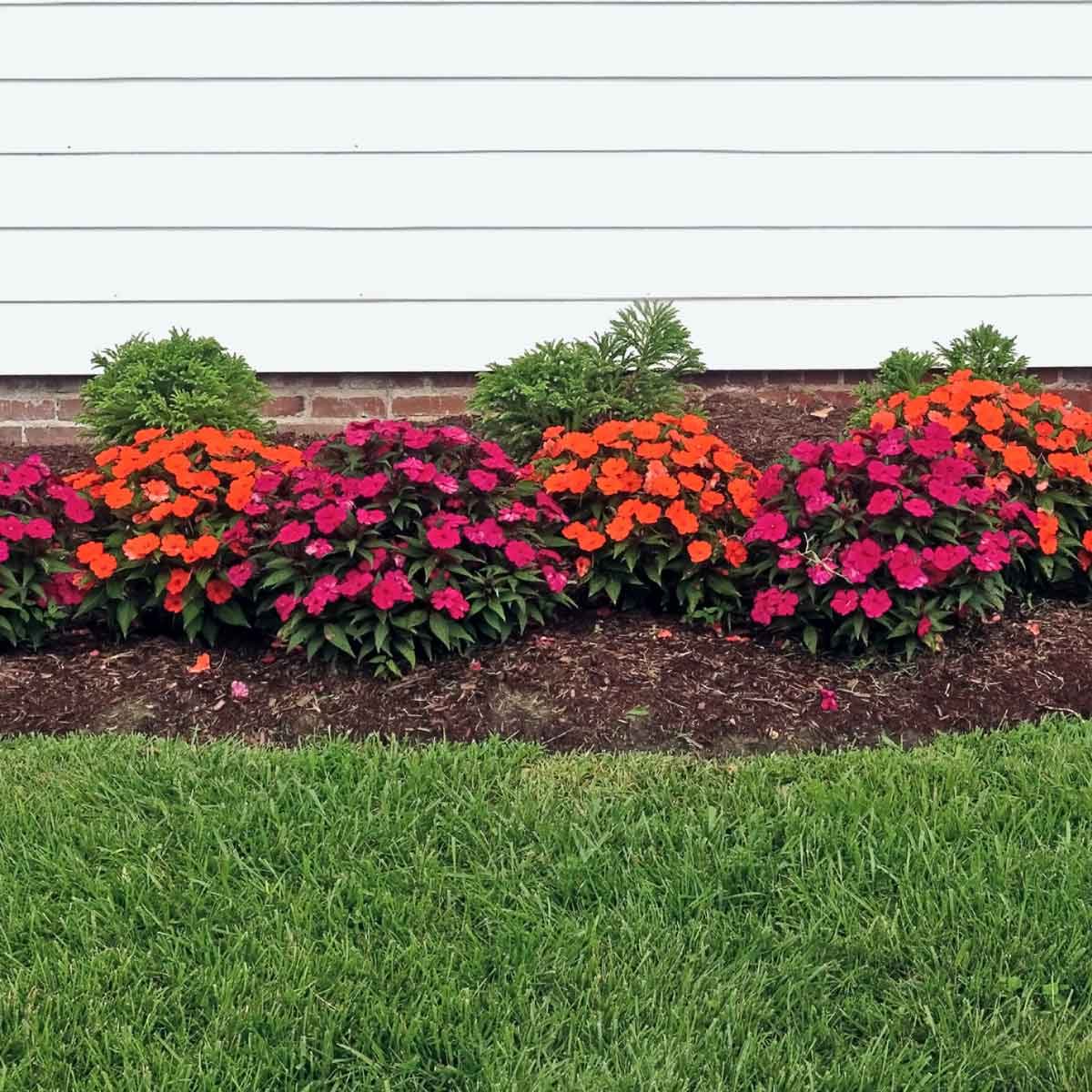 10 Flower Border Ideas and Designs | Family Handyman