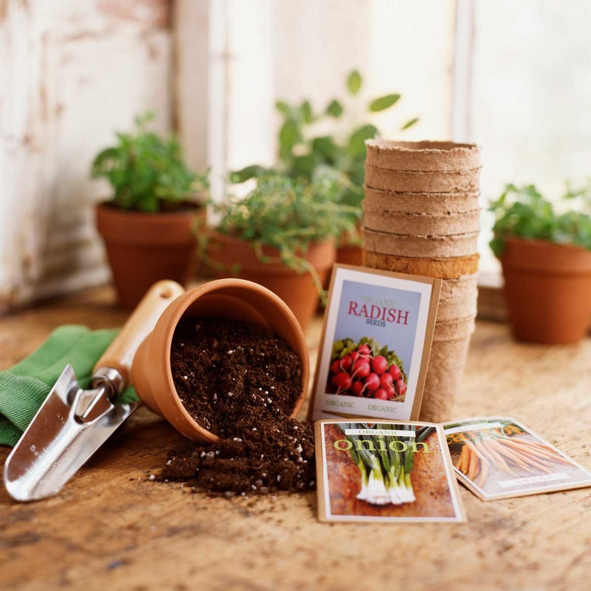 9 Best Places to Buy Garden Seeds